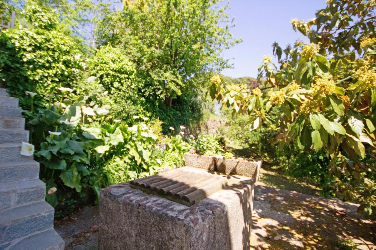 Appartement Monolocale Fattorialmare Viola à Camogli Extérieur photo